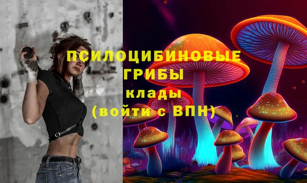соль курить ск Алзамай