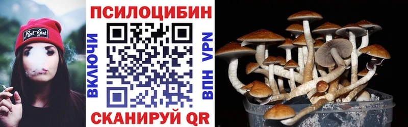 Галлюциногенные грибы Cubensis Октябрьск